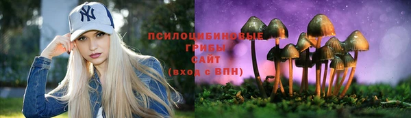 метадон Елизово
