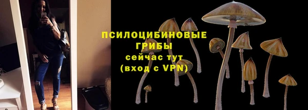 2c-b Елабуга