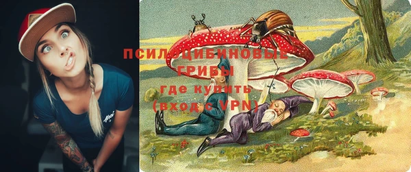 соль курить ск Ельня