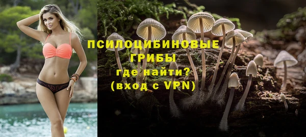 соль курить ск Ельня
